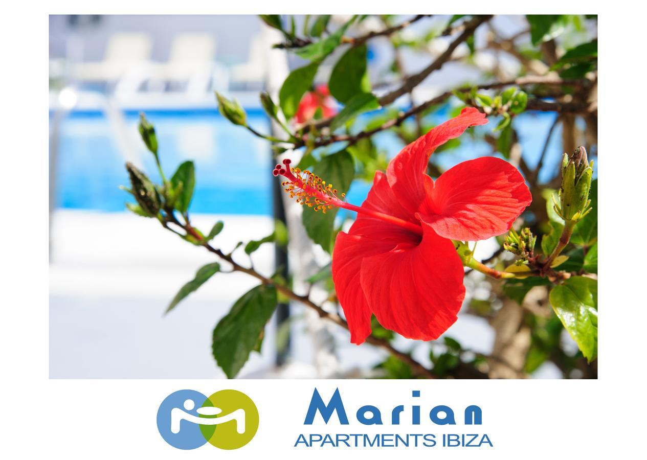 Apartment Marian Sant Antoni de Portmany