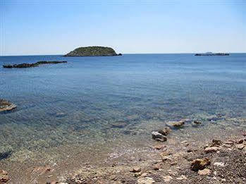 Typic Sandic Es Canar (Ibiza)
