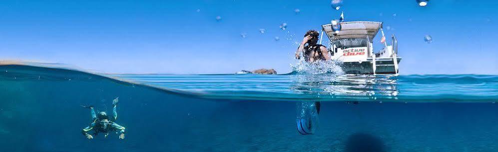 Guest house Balearic (adults Only) *
