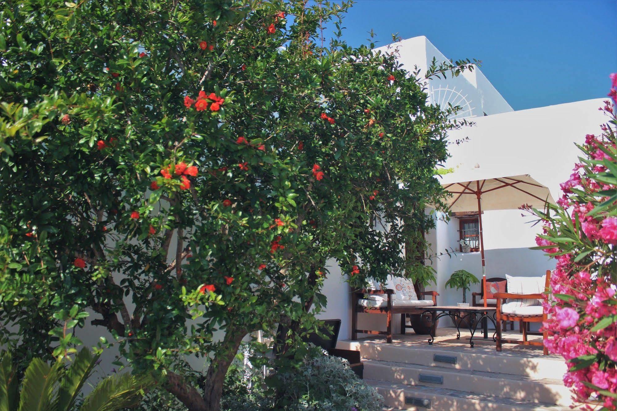 Agroturismo Can Pardal Farm stay *