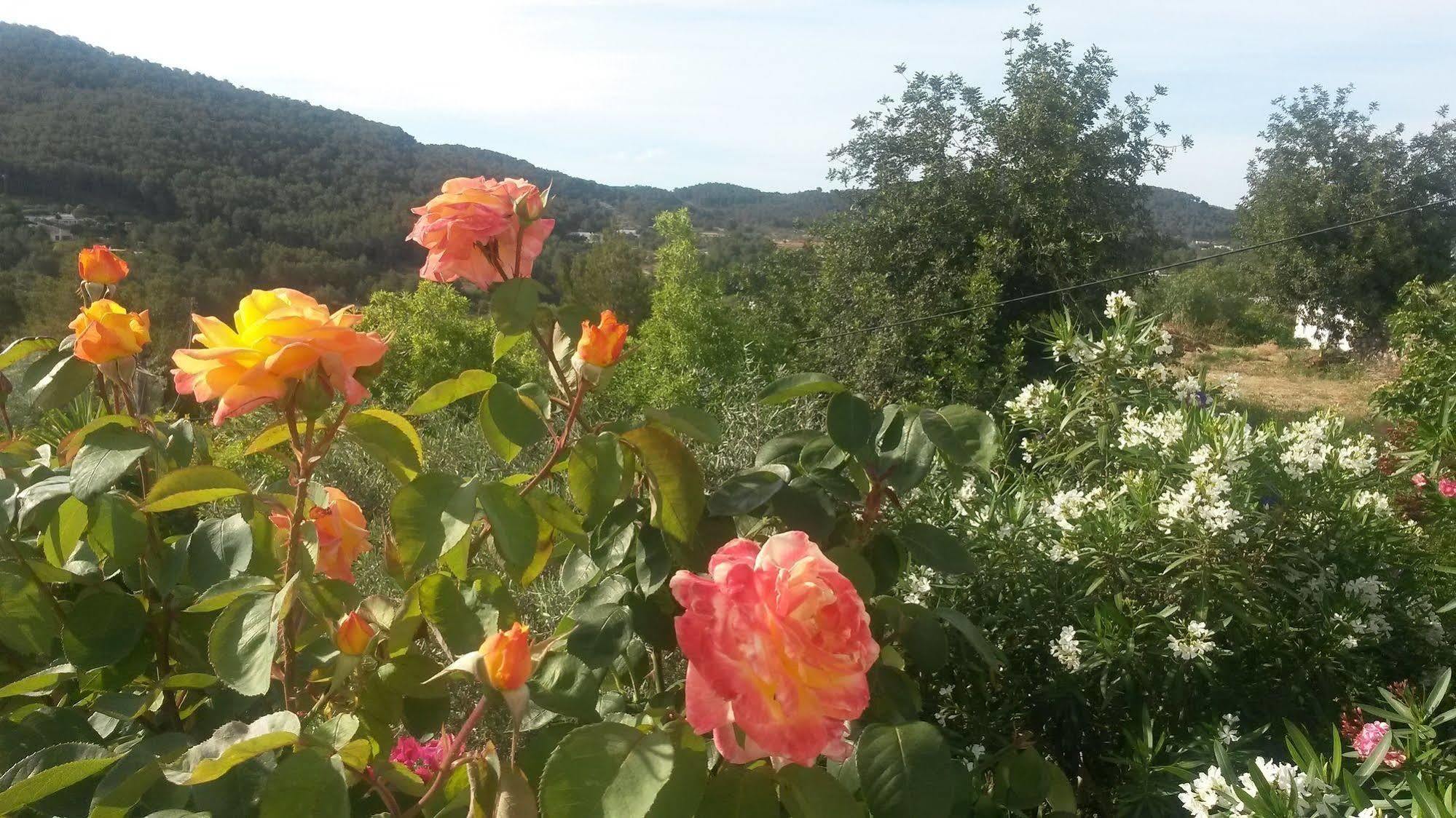 Farm stay Agroturismo Can Pardal