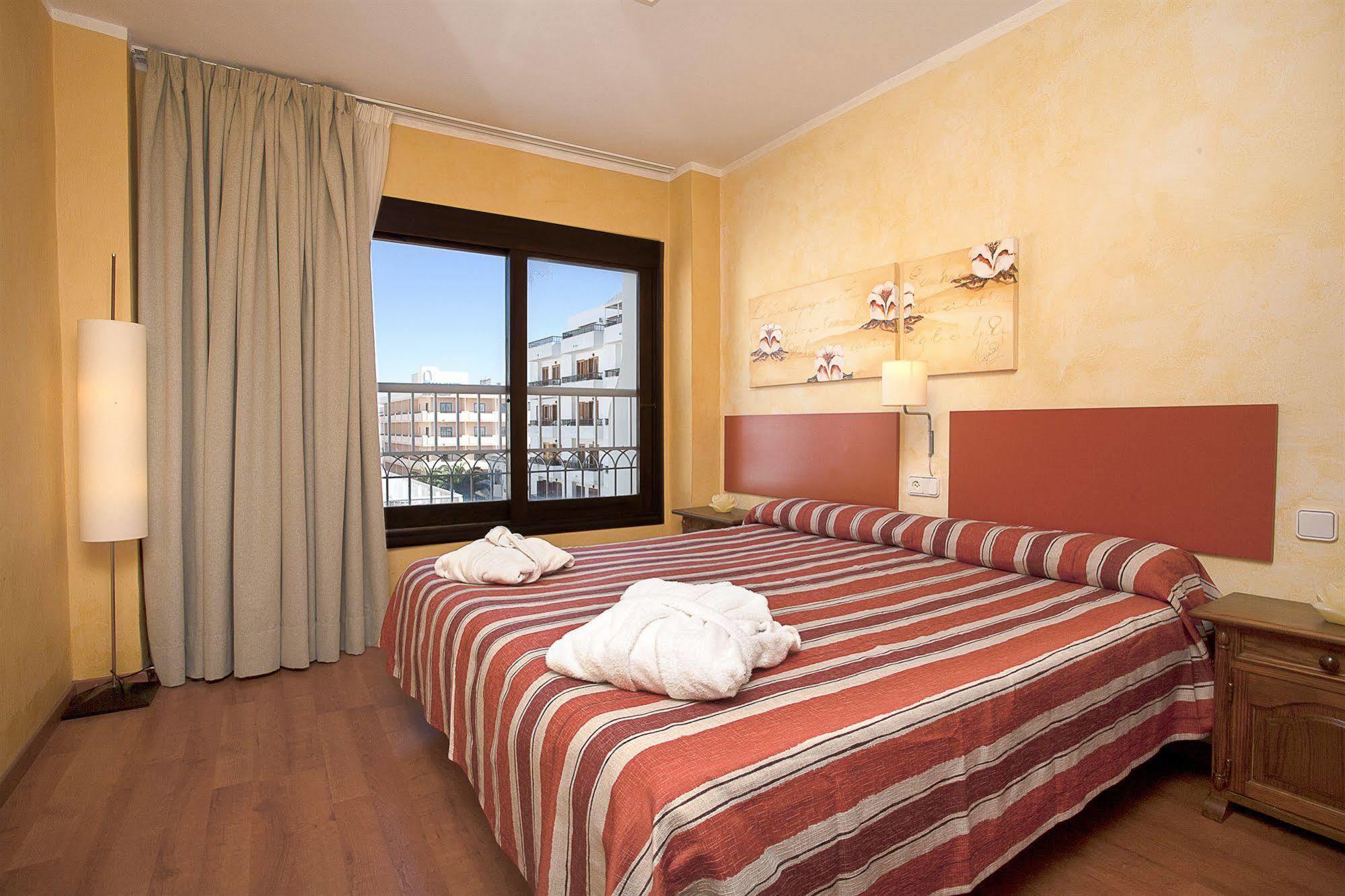 Parot Santa Eulària des Riu