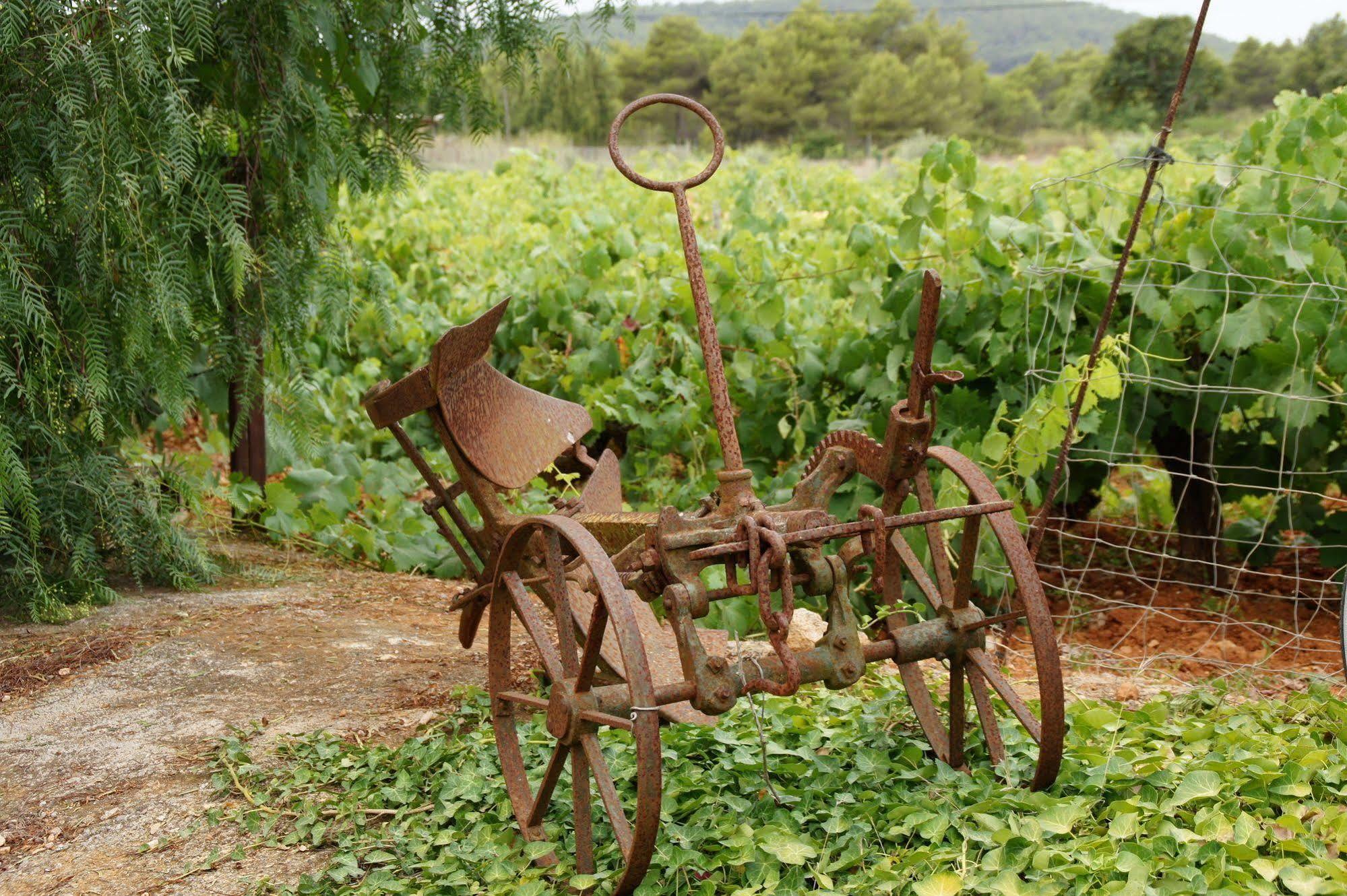 Sa Vinya D'en Palerm Farm stay Sant Miquel De Balansat
