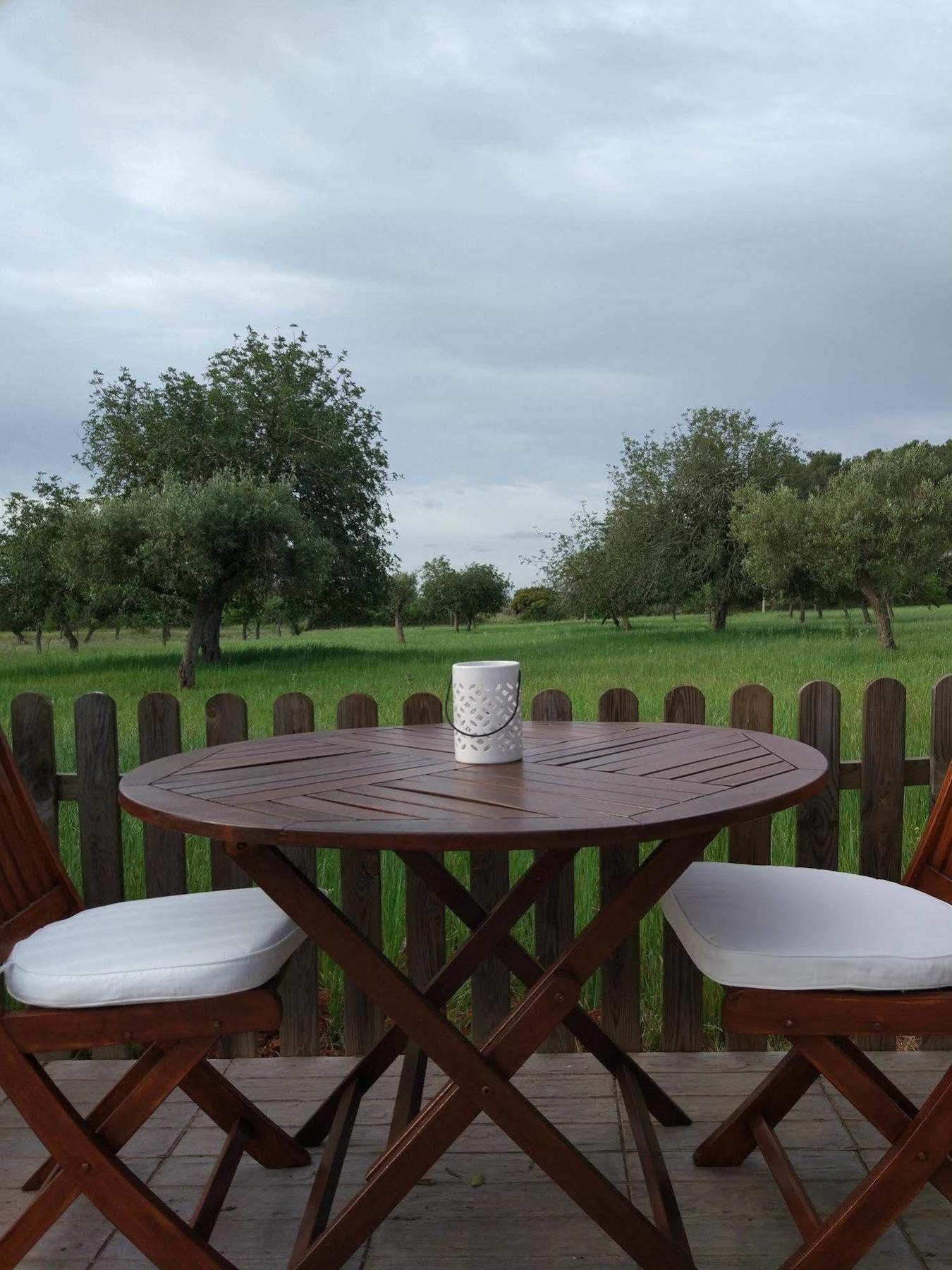 Sa Vinya D'en Palerm Farm stay