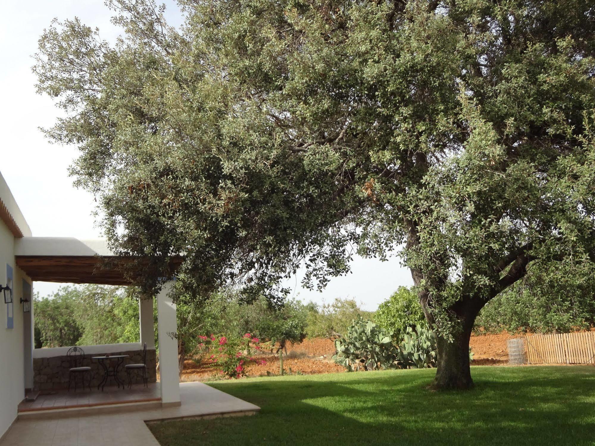 Sa Vinya D'en Palerm Farm stay *