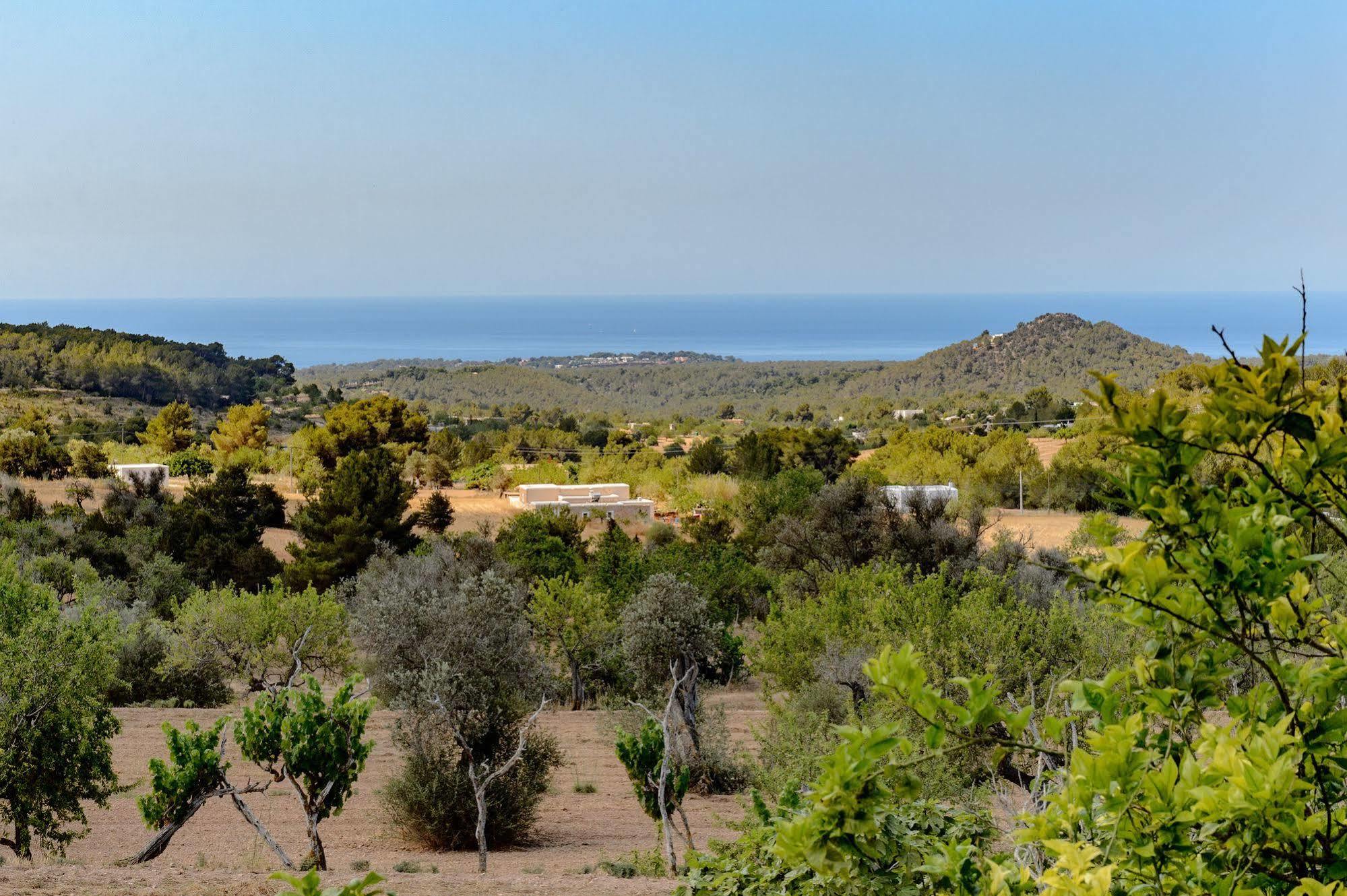 Villa Monte Dalt *