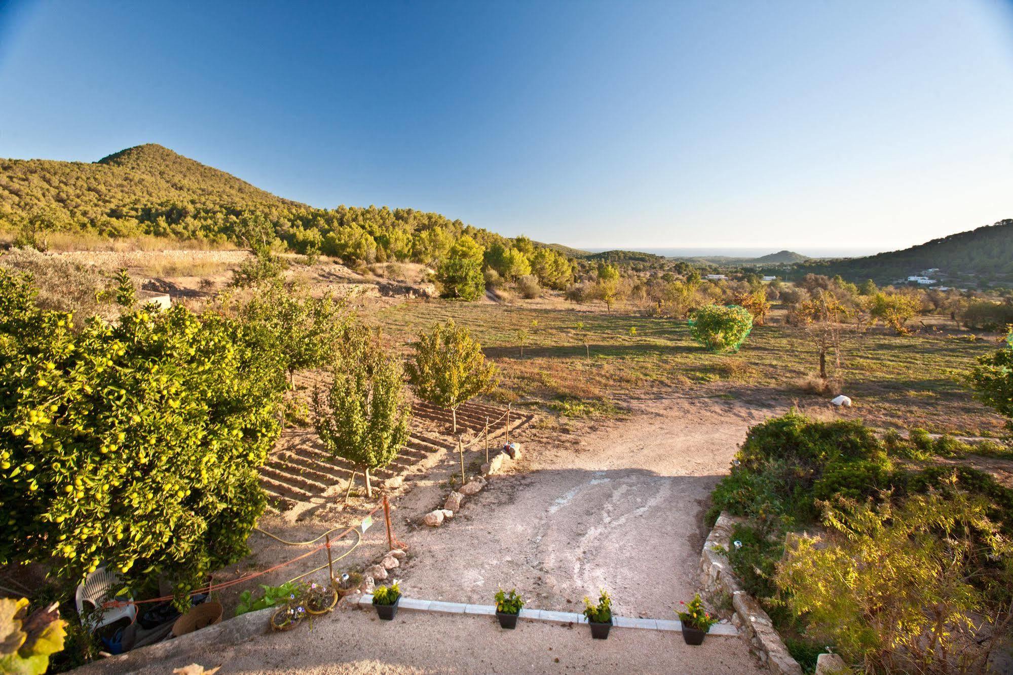 Monte Dalt Villa