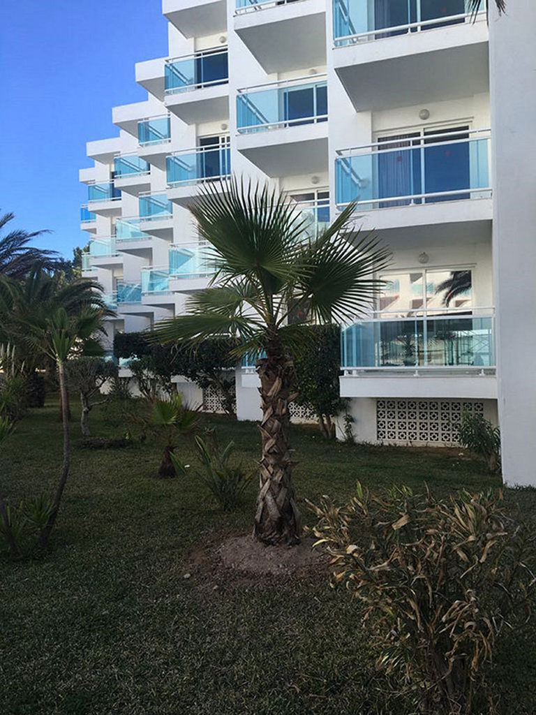 Nereida 3* San Antonio (Ibiza)
