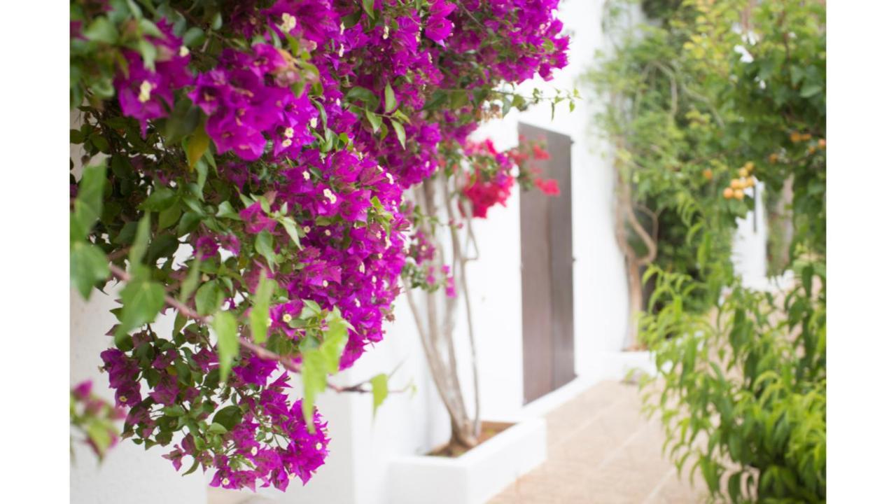Nieves: Rural Retreat Near *