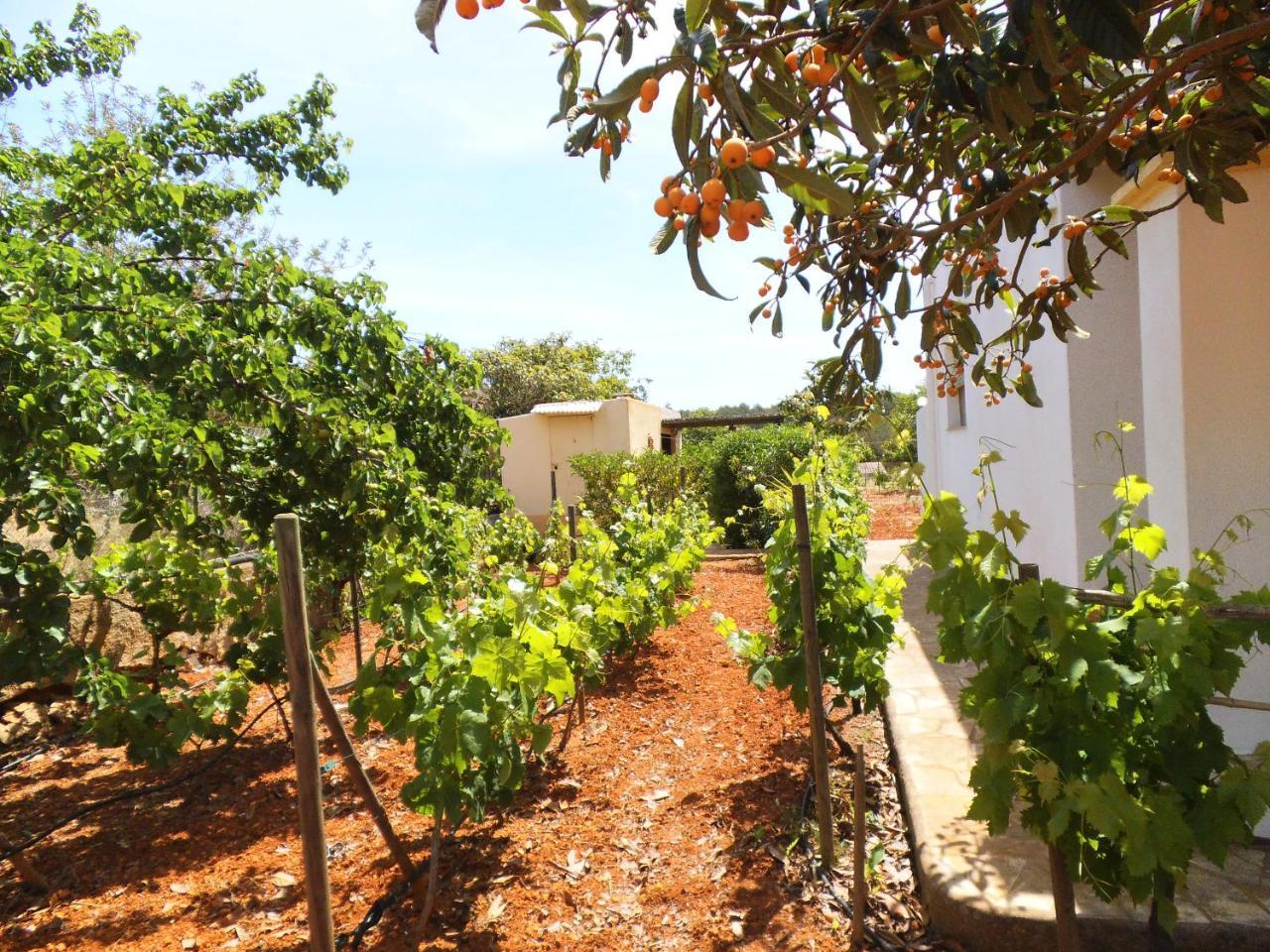 Turrent Villa Sant Carles de Peralta