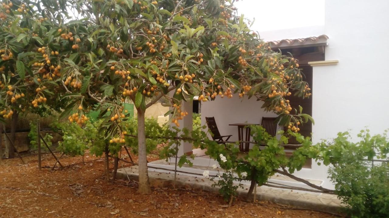 Turrent Pousada