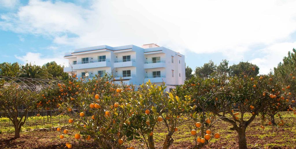 Sunset Oasis Ibiza Adults Only - New 2025 *