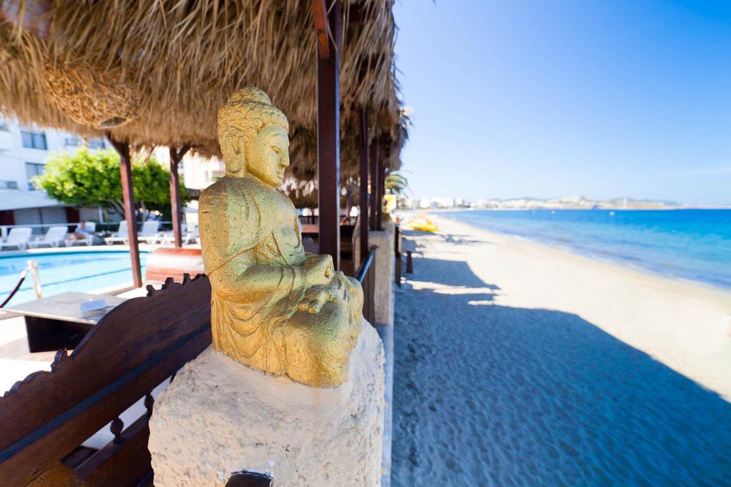 Ama Ibiza (adults Only)