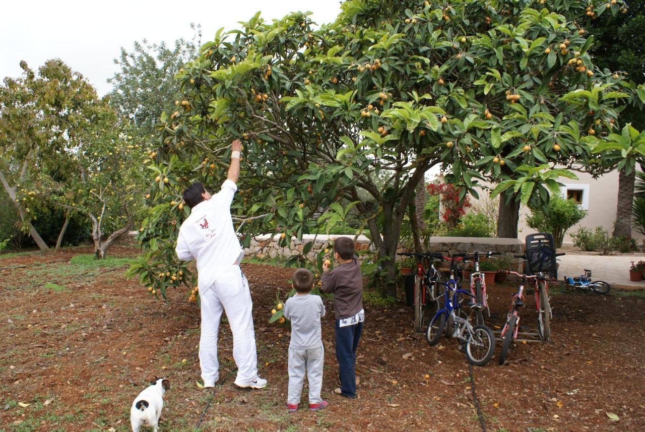 Agroturismo Can Gall 3*