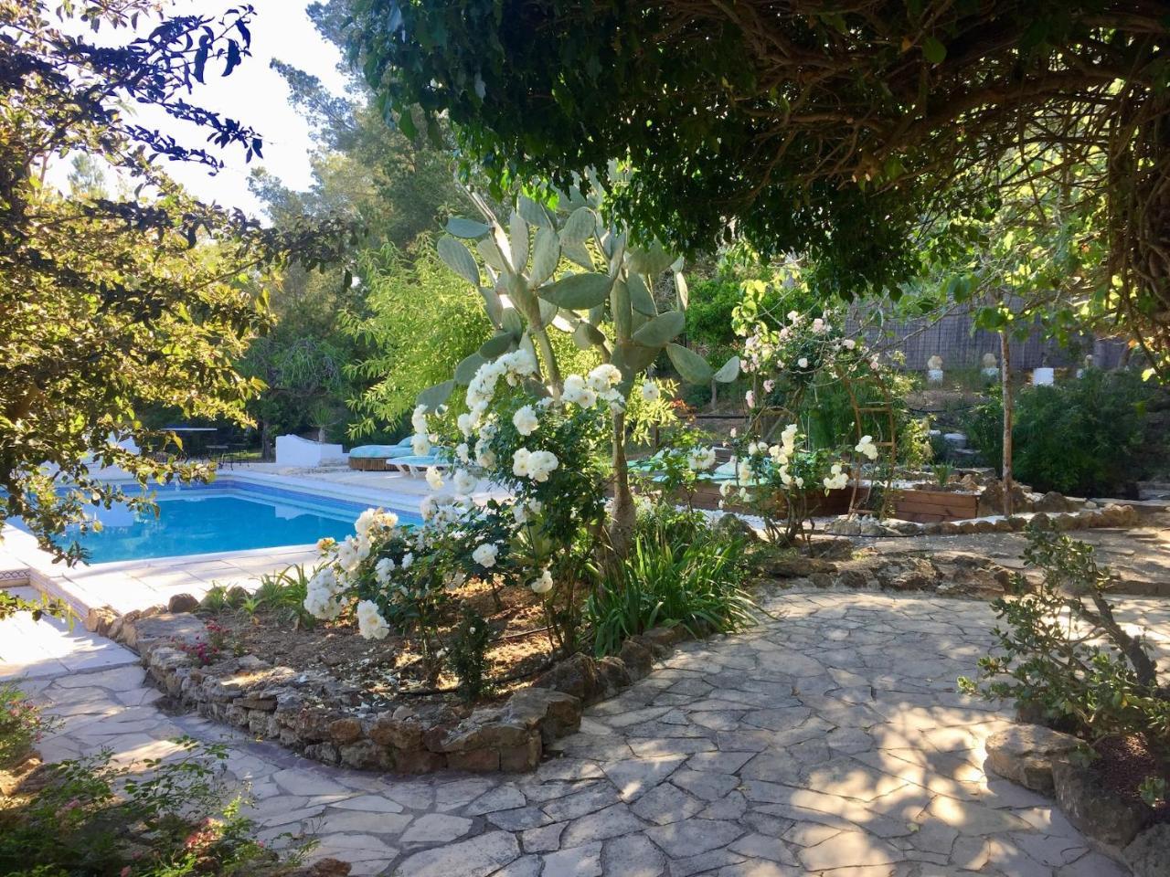 Guest house Iara 3*