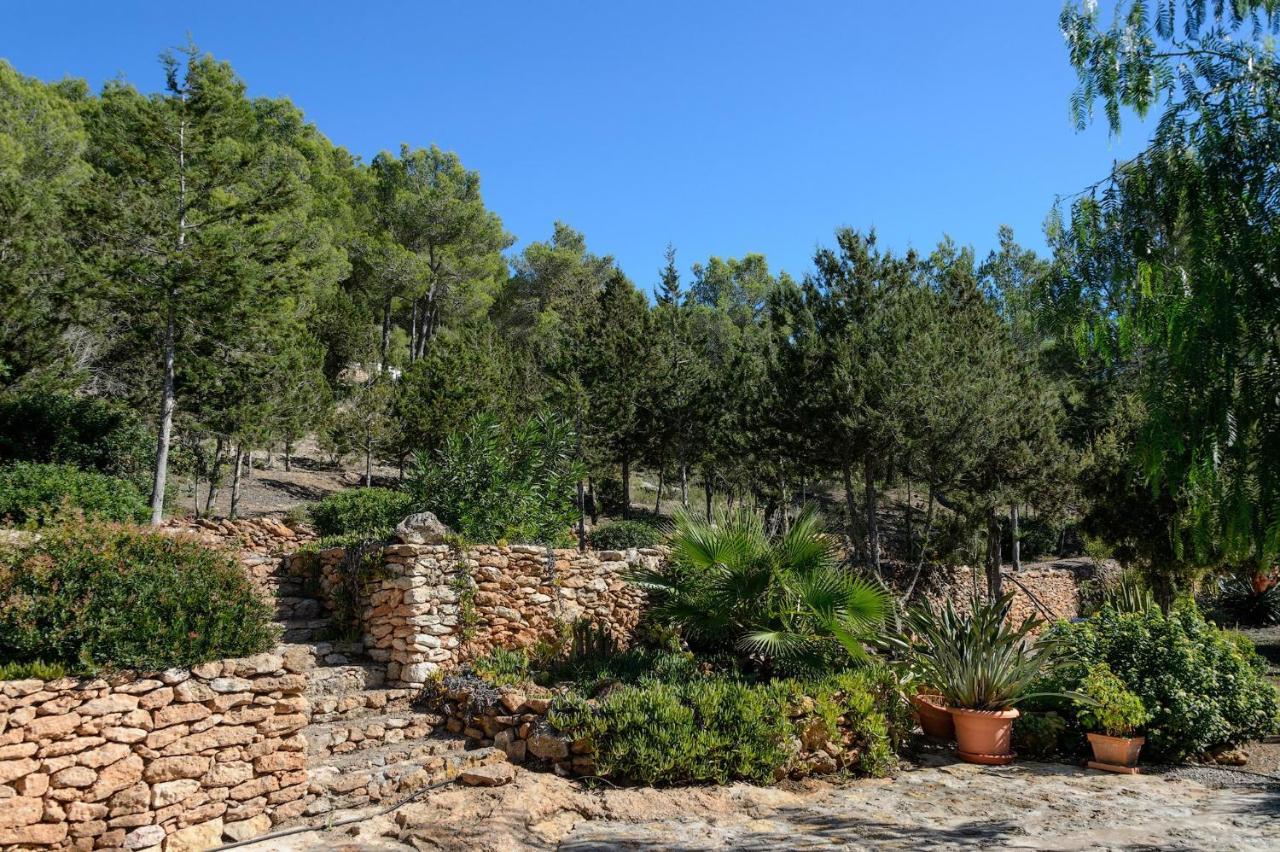 Patri Villa Sant Carles de Peralta