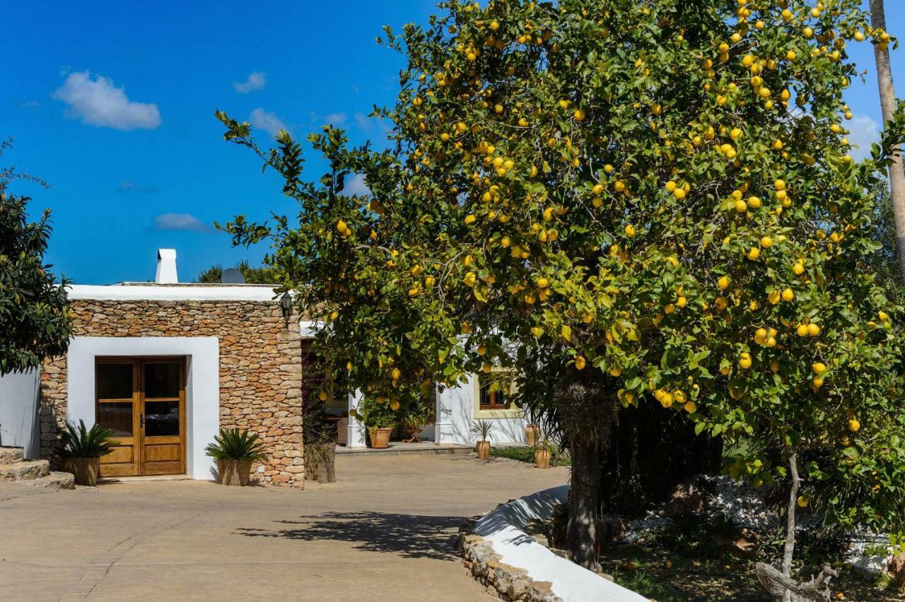 Fita Villa *