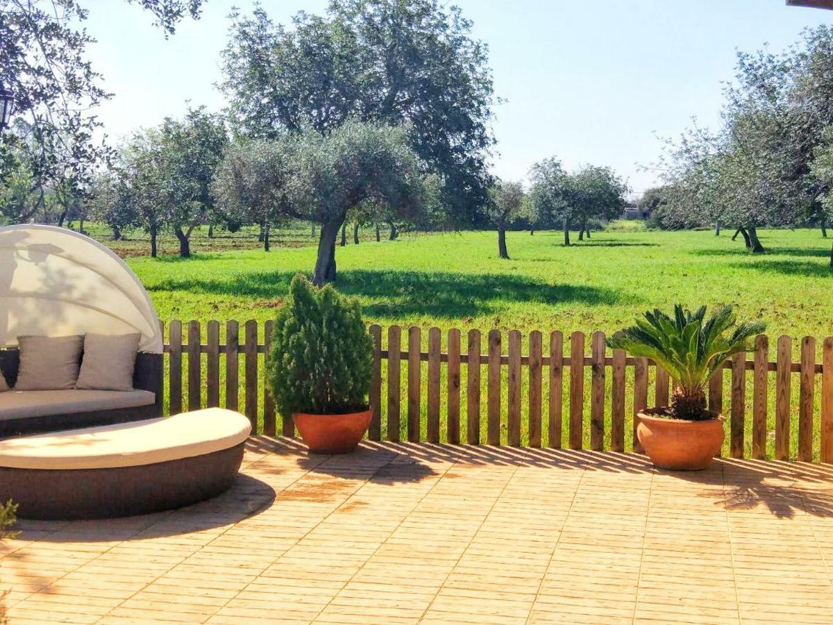 Sa Vinya D'en Palerm Farm stay