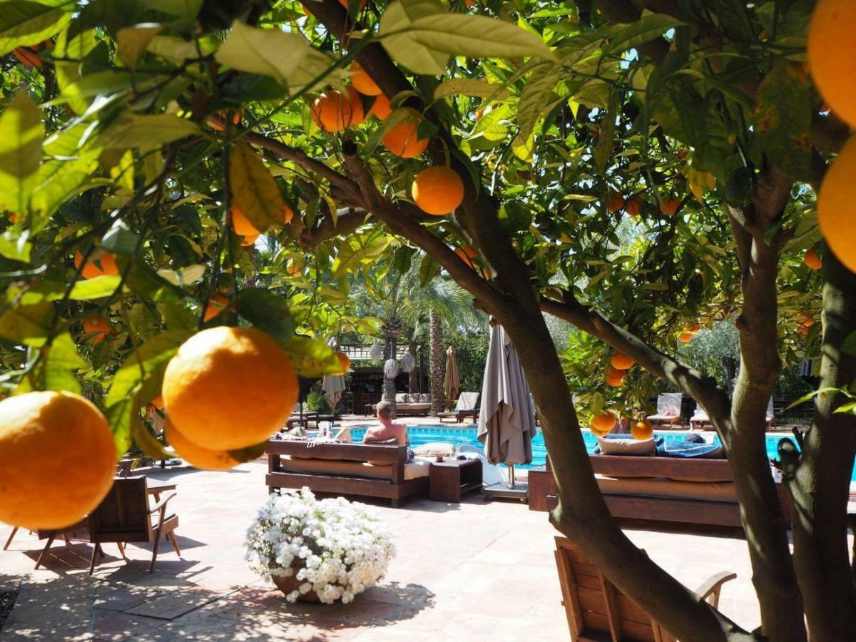 Holiday home Raco Ibiza San Rafael De Sa Creu