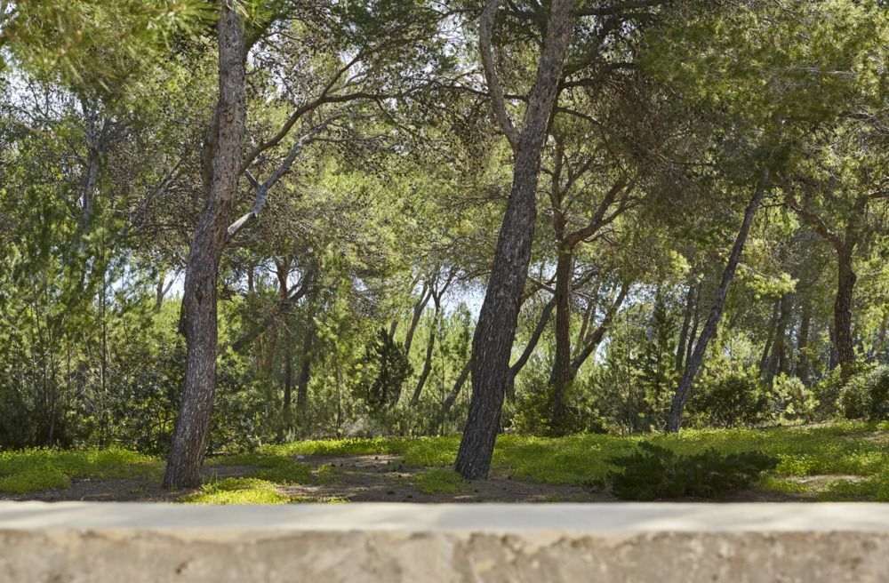 Es Raig Ibiza