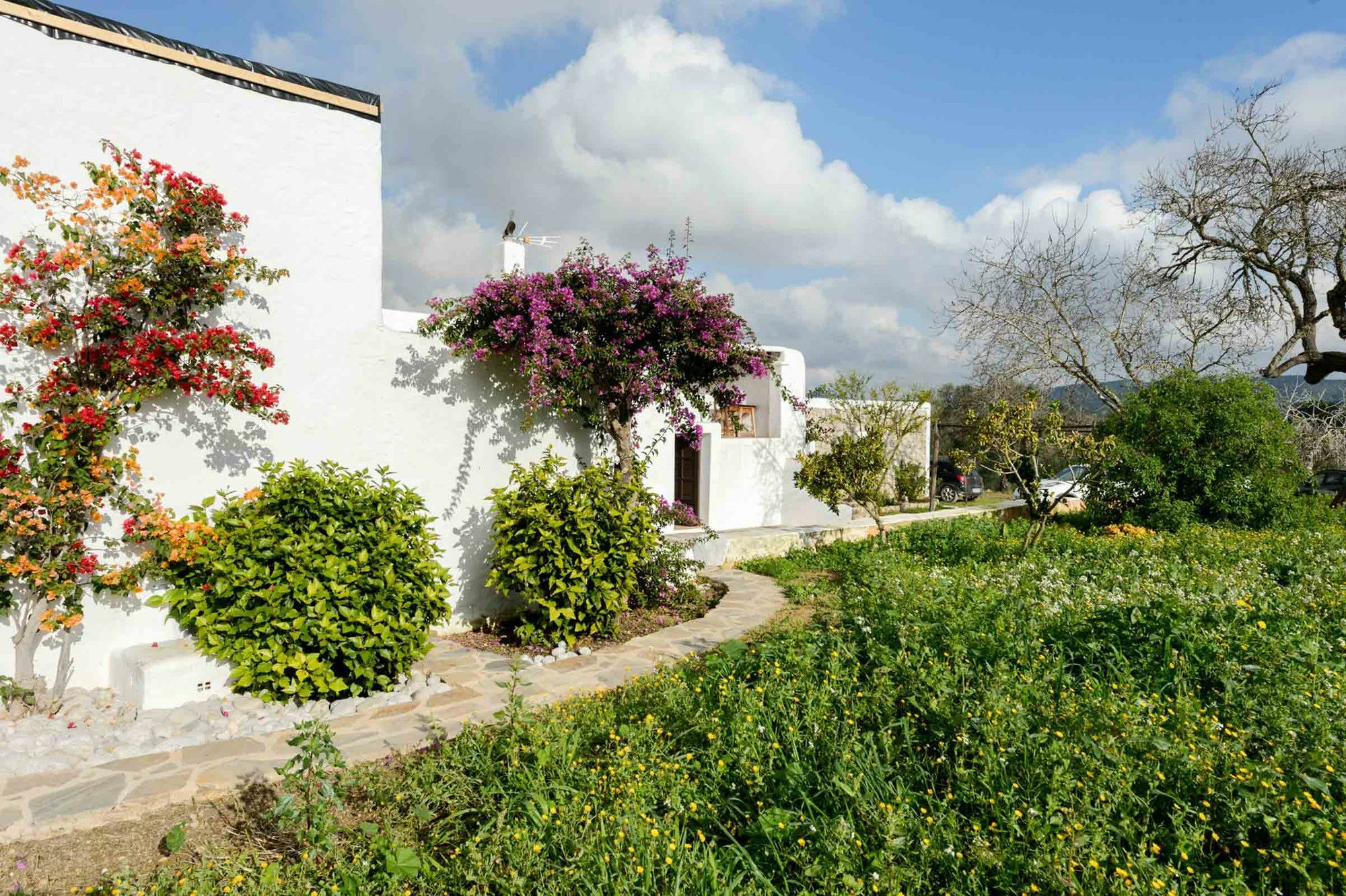 Casa Payesa - Authentic Ibizan Style Villa *