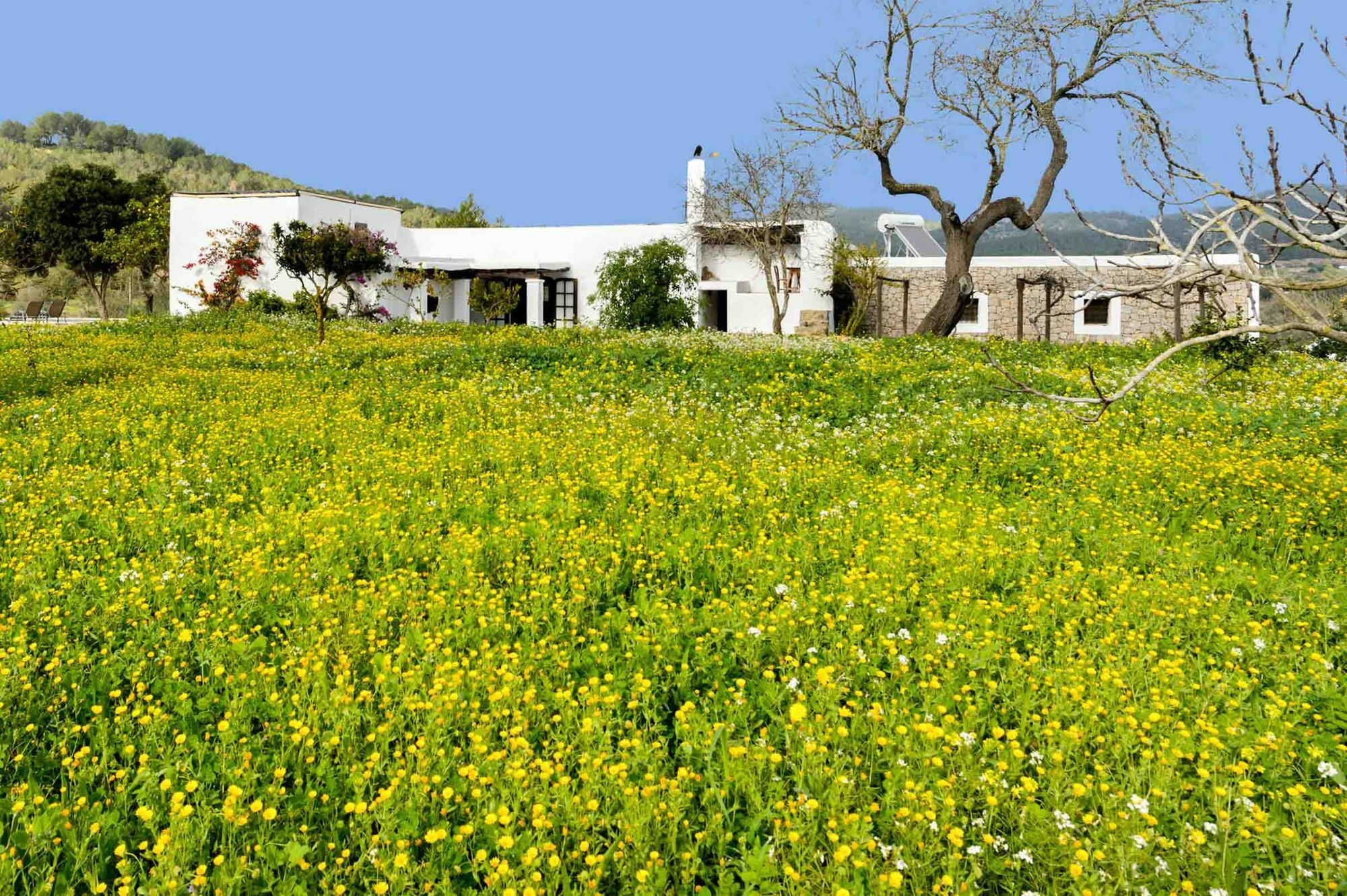 Villa Casa Payesa - Authentic Ibizan Style