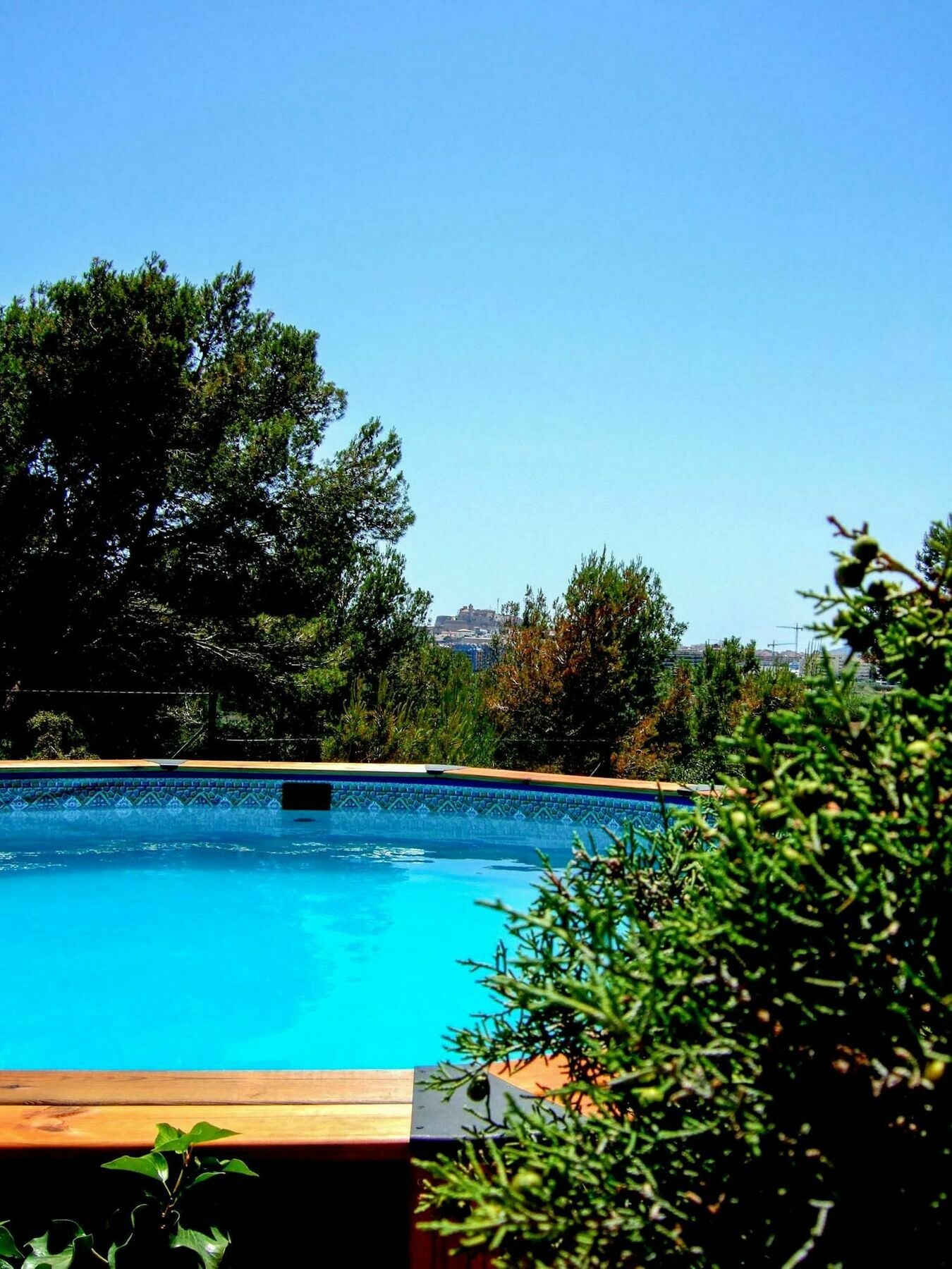 Veroch Santa Eulària des Riu
