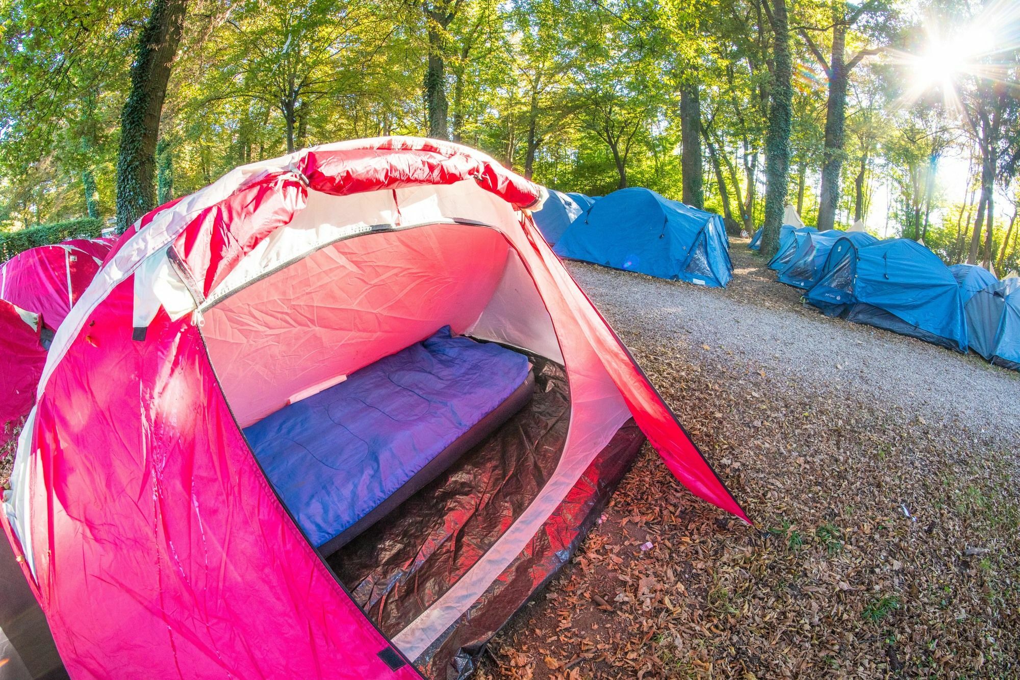 Ibiza Camp Campsite