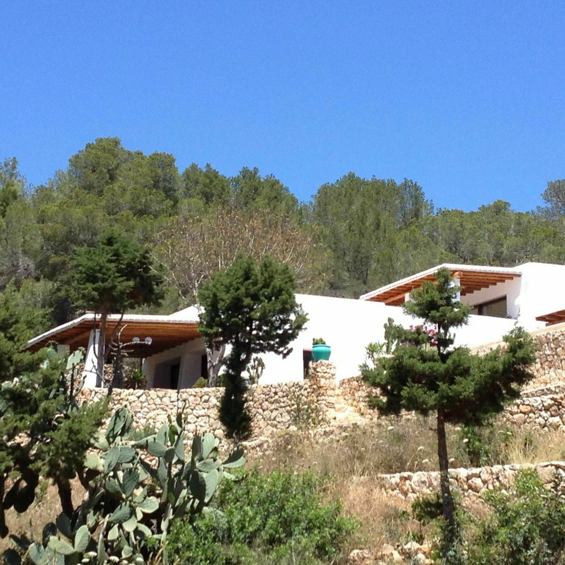 Weedy Villa San Antonio (Ibiza)