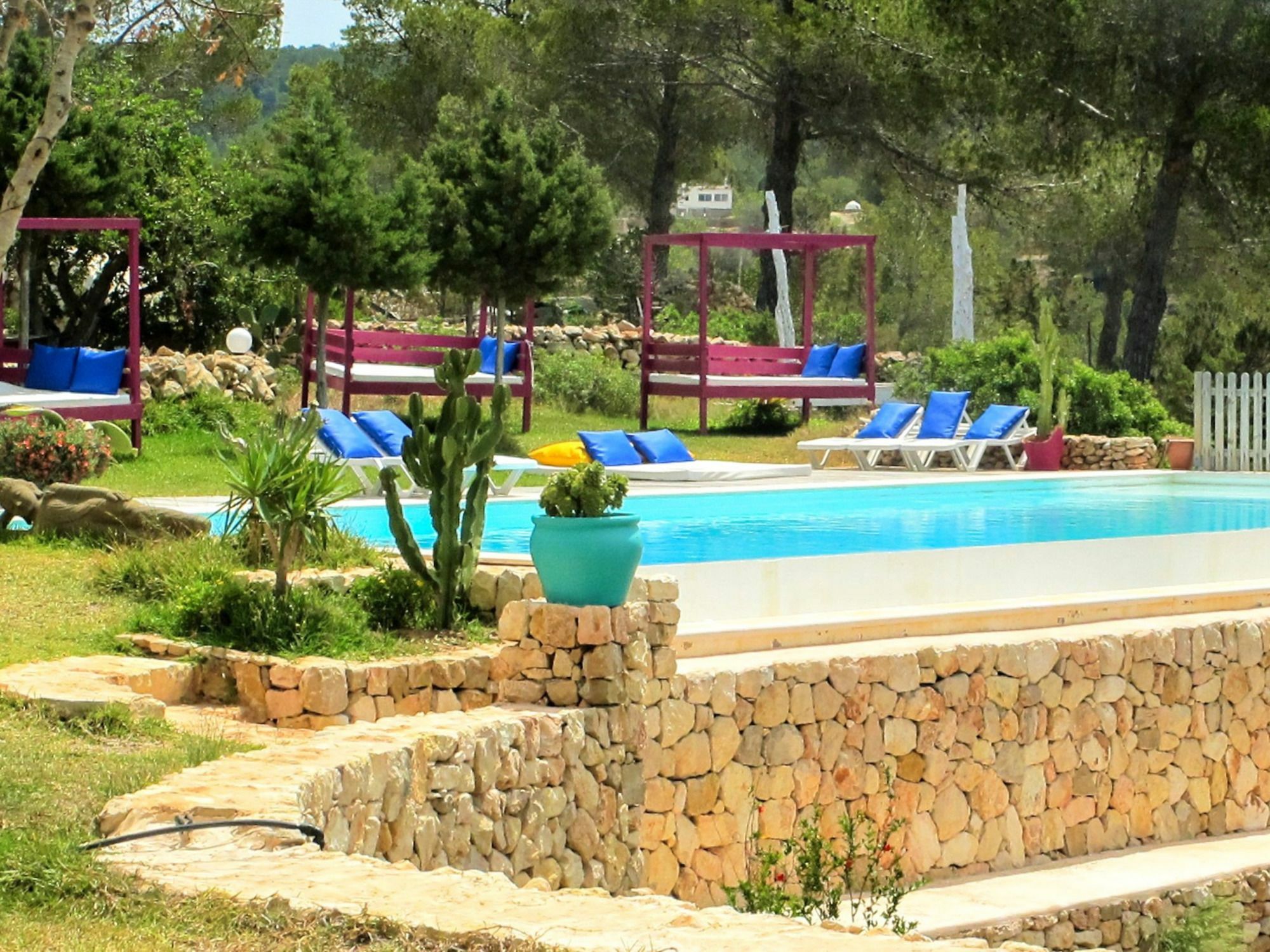 Weedy * San Antonio (Ibiza)