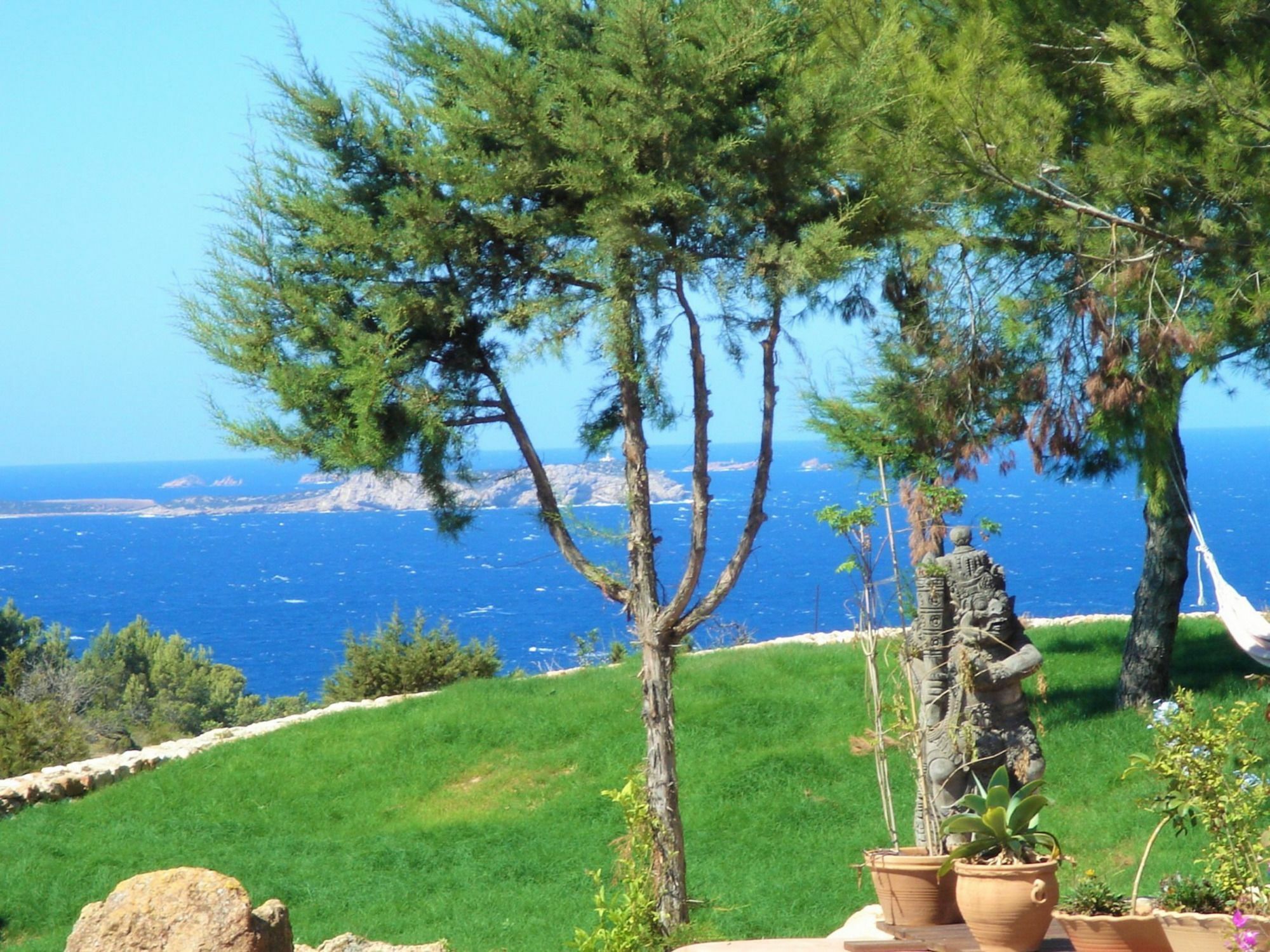 Weedy San Antonio (Ibiza)