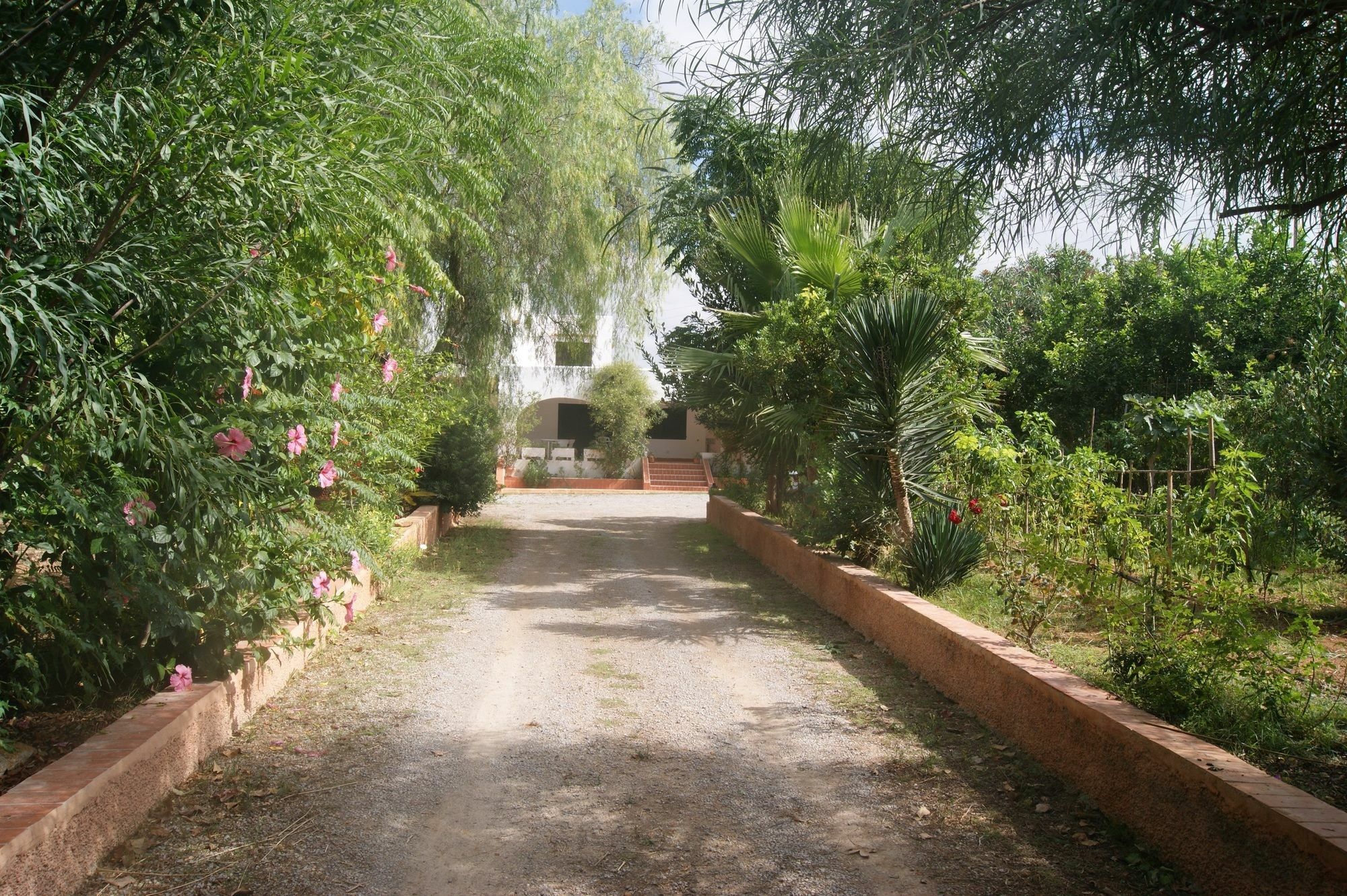 Appartement With 7 In Sant Antoni De Portmany, With Private Pool, Encl