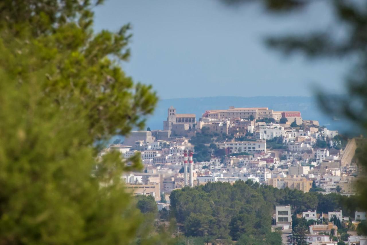 Faritzeo San Rafael De Sa Creu