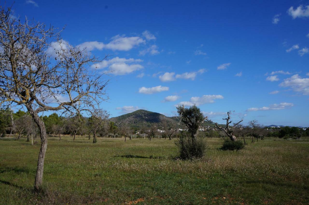 Frigola. Ibiza 9pax * Sant Josep de sa Talaia