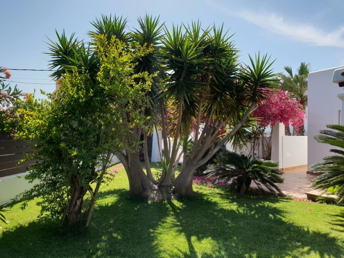 Ca Na Marta Holiday home *