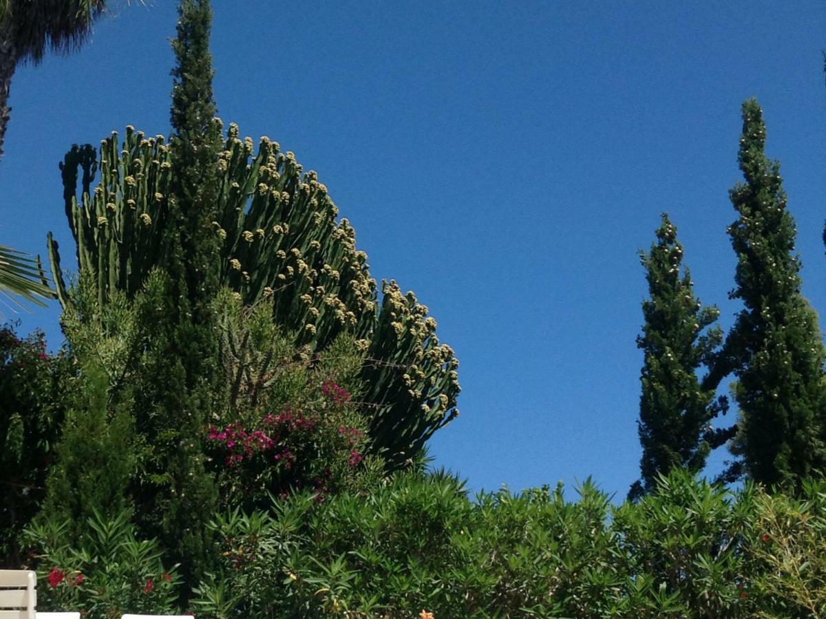 Apartamento Casa Grecia Santa Eulária des Riu