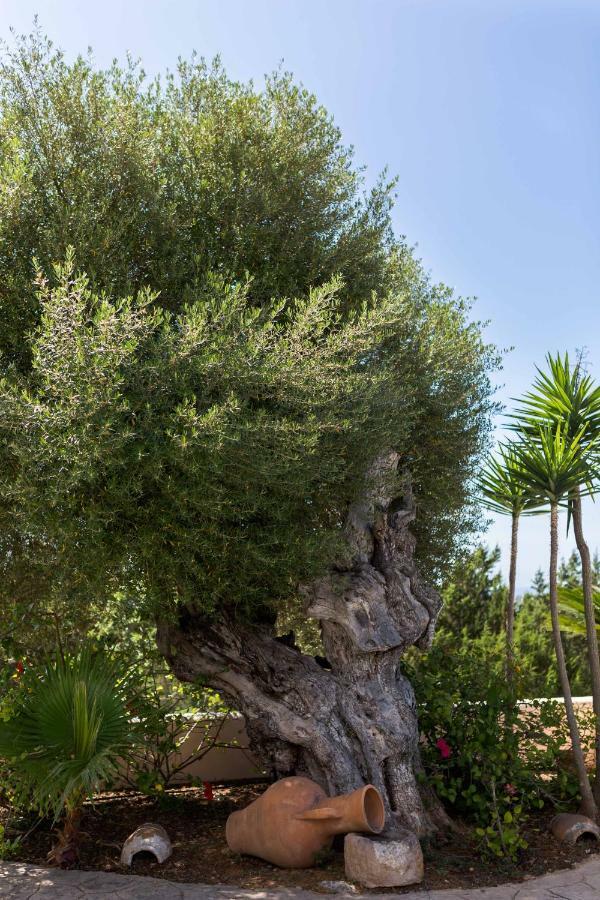 Villa Ca Na Vinya