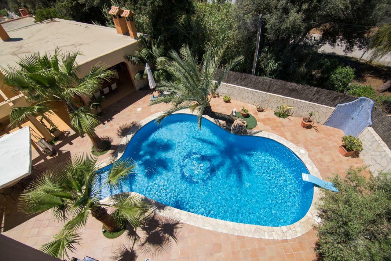 Palmera Villa