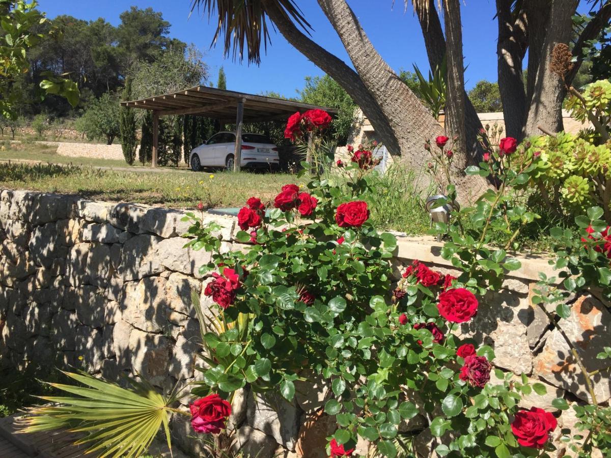 Casa Cova Ibiza Town