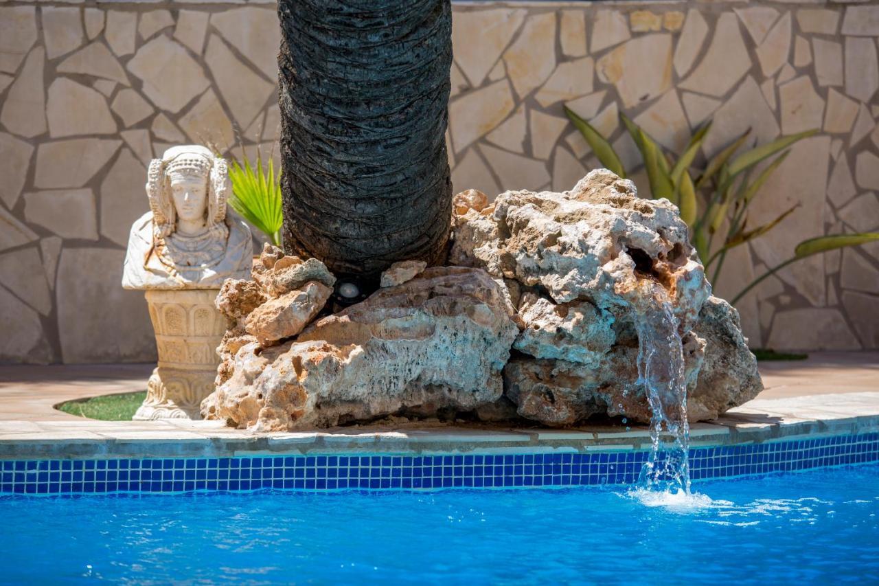 Palmera Villa *
