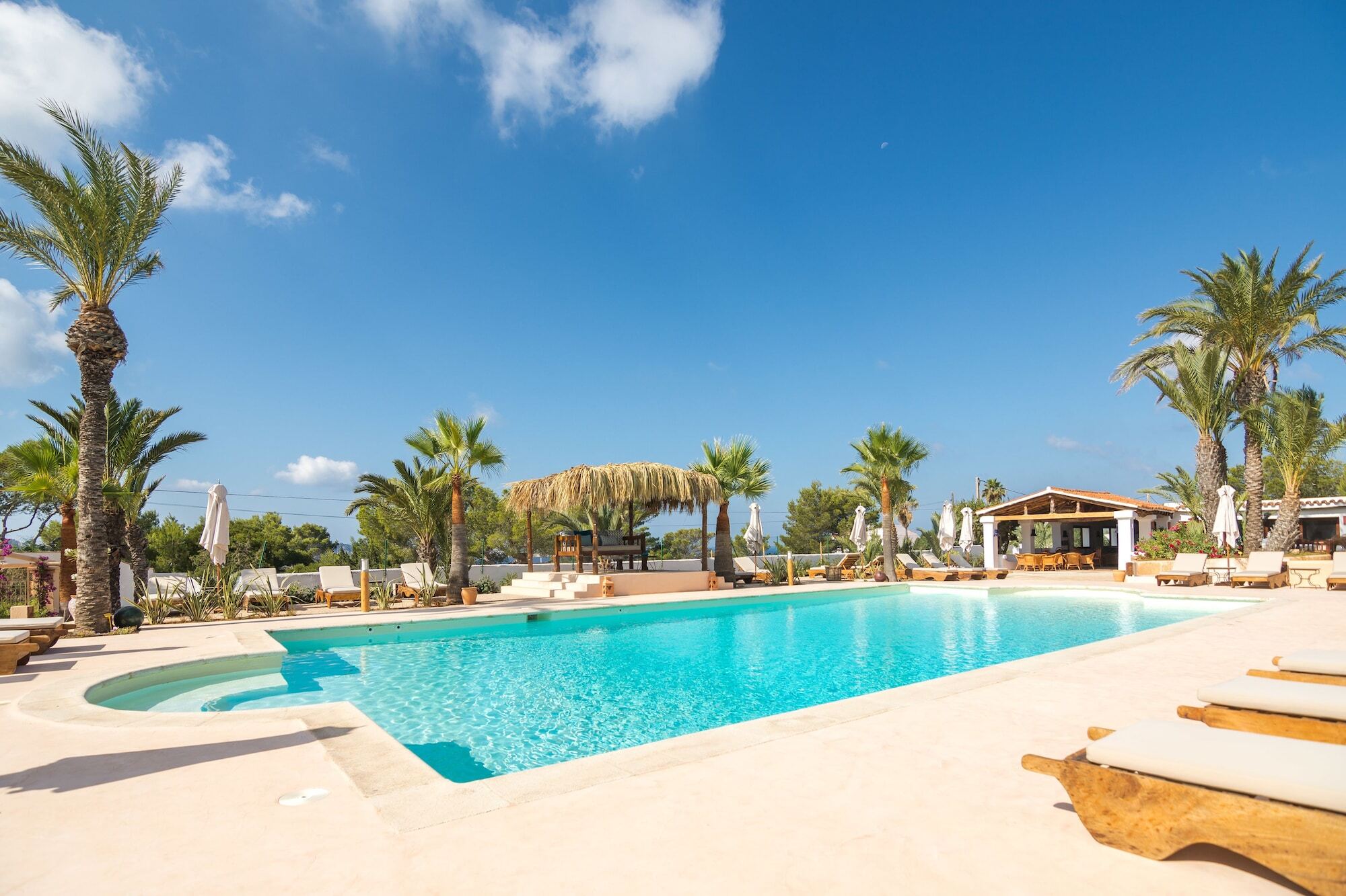 Petunia Ibiza (adults Only) 3*