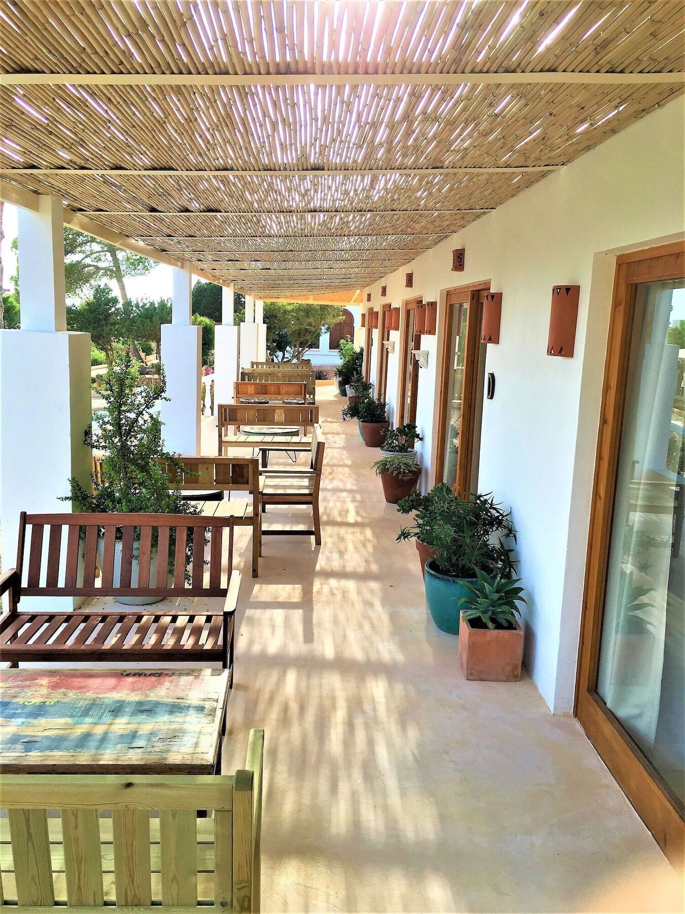 Petunia Ibiza (adults Only) Hotel Cala Vadella (Ibiza)