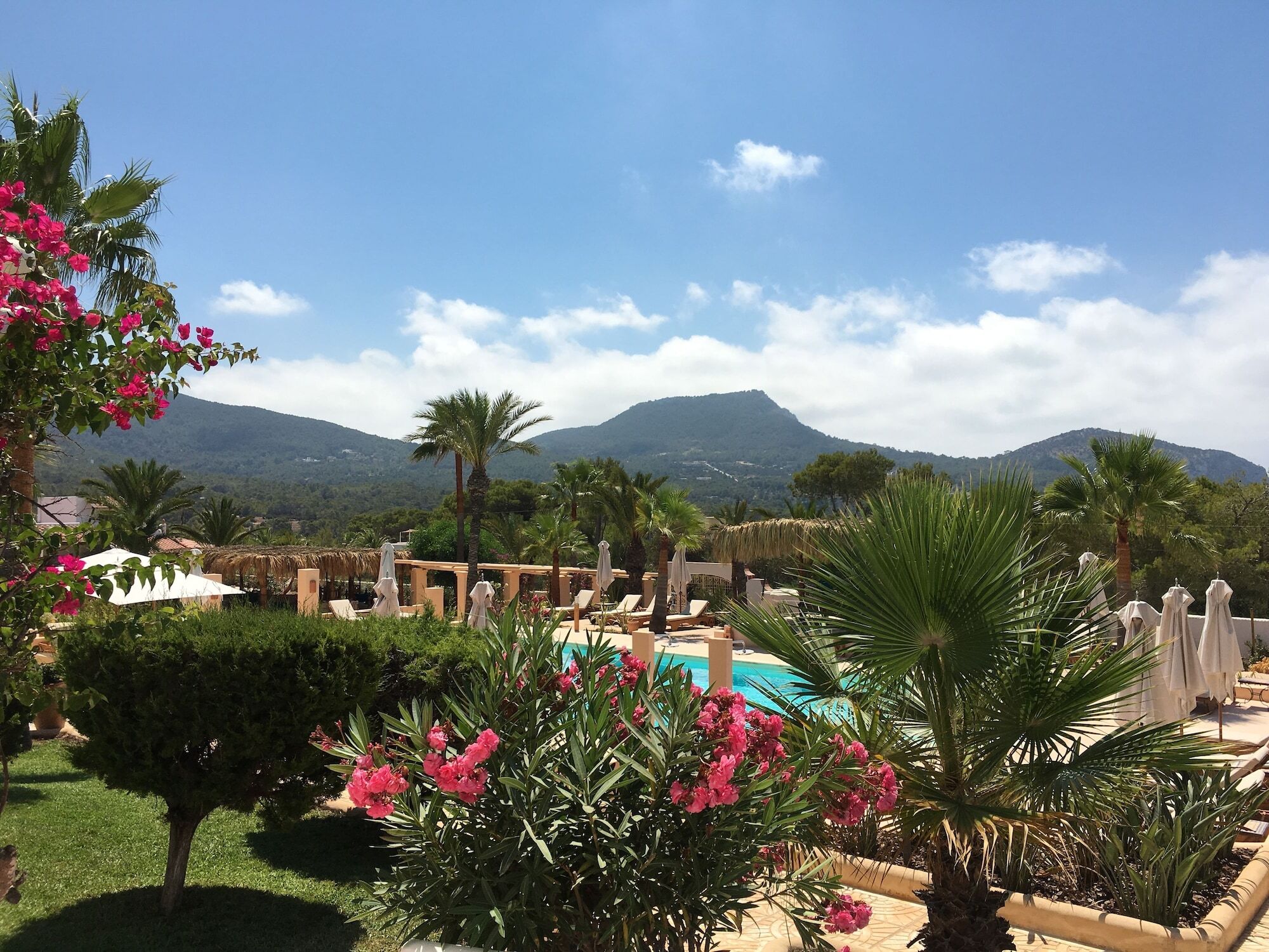 Hotel Petunia Ibiza (adults Only) 3*