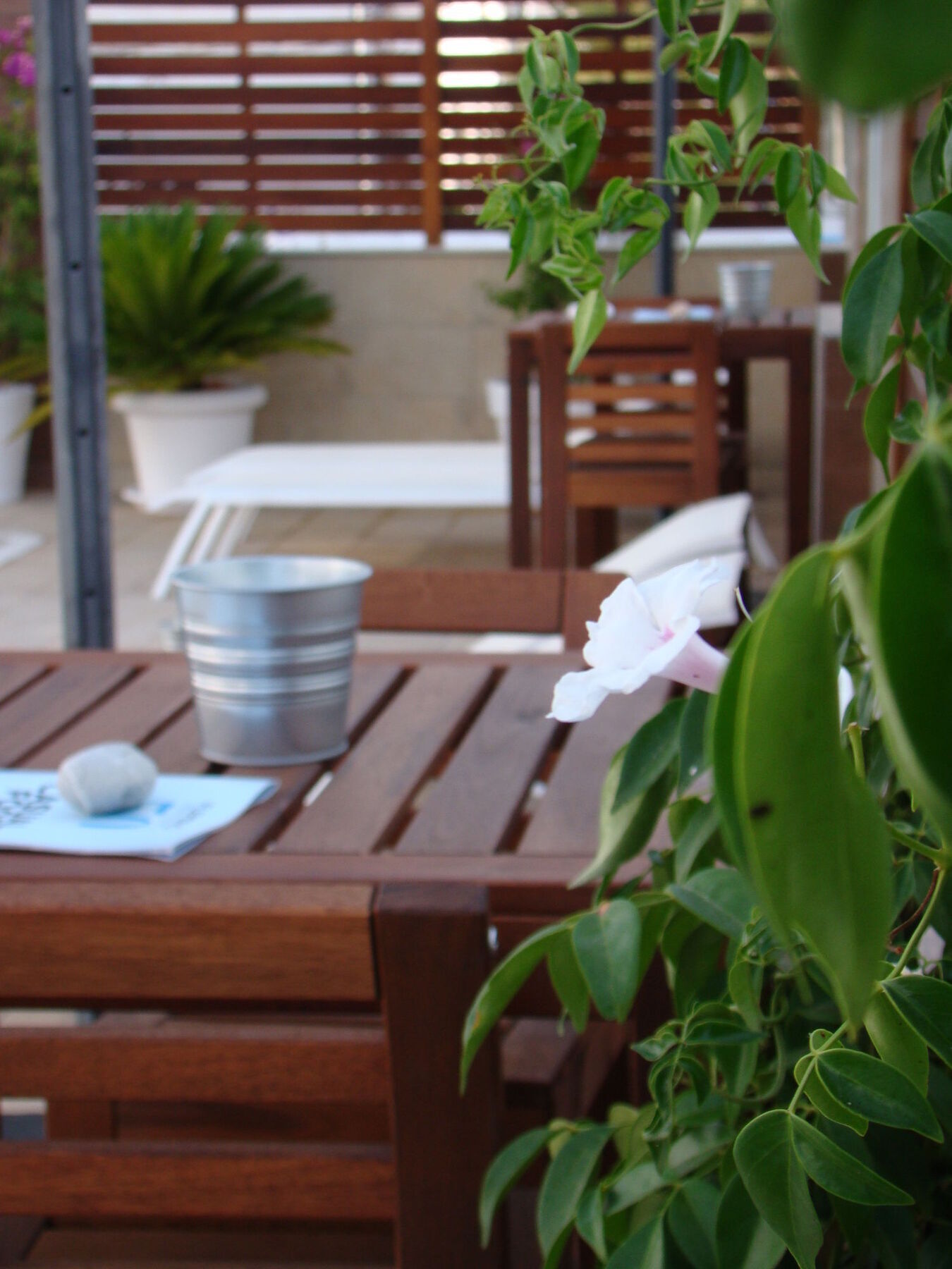 Fleming 50 Apartment San Antonio (Ibiza)