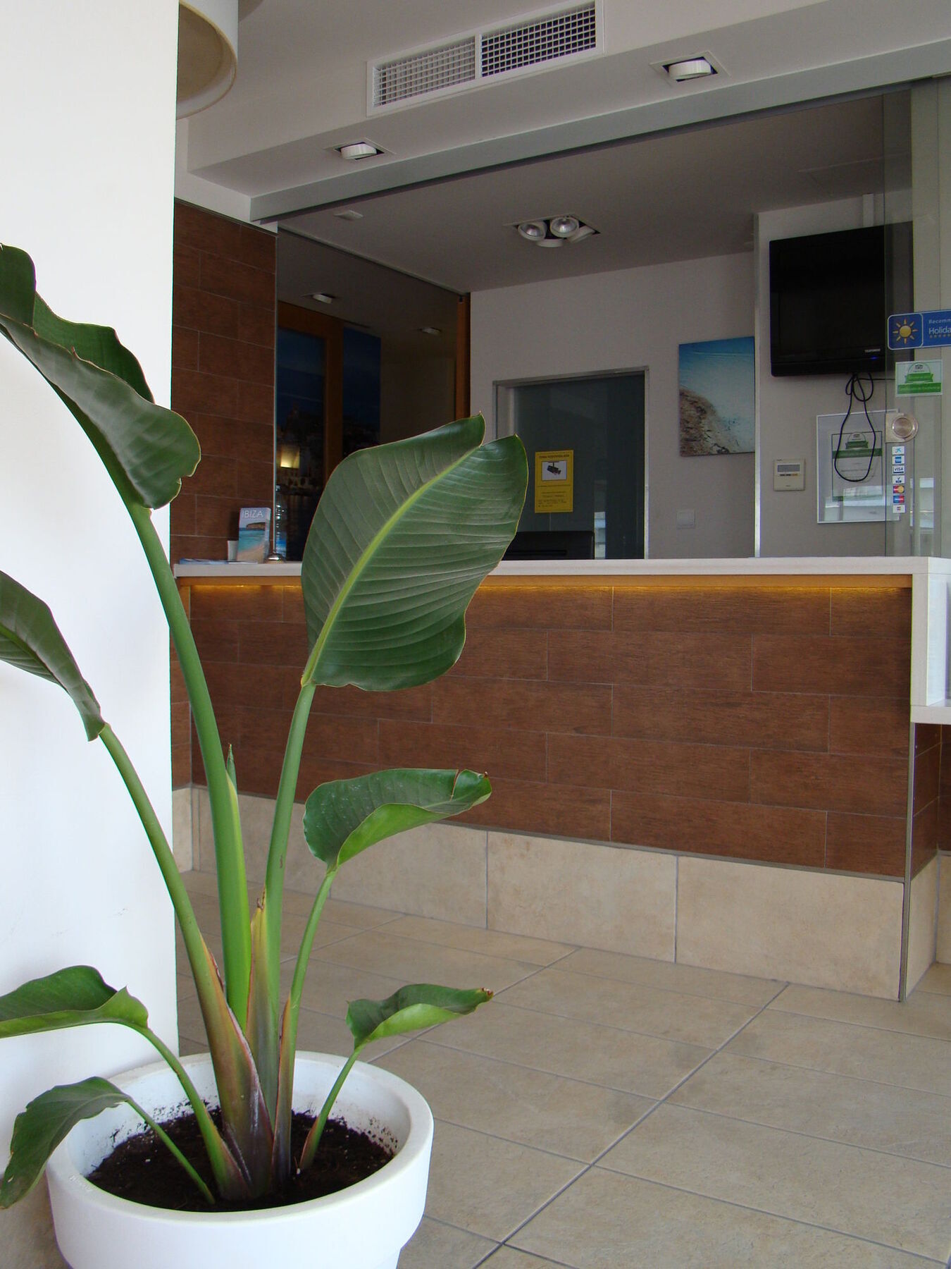 Fleming 50 Apartment San Antonio (Ibiza)