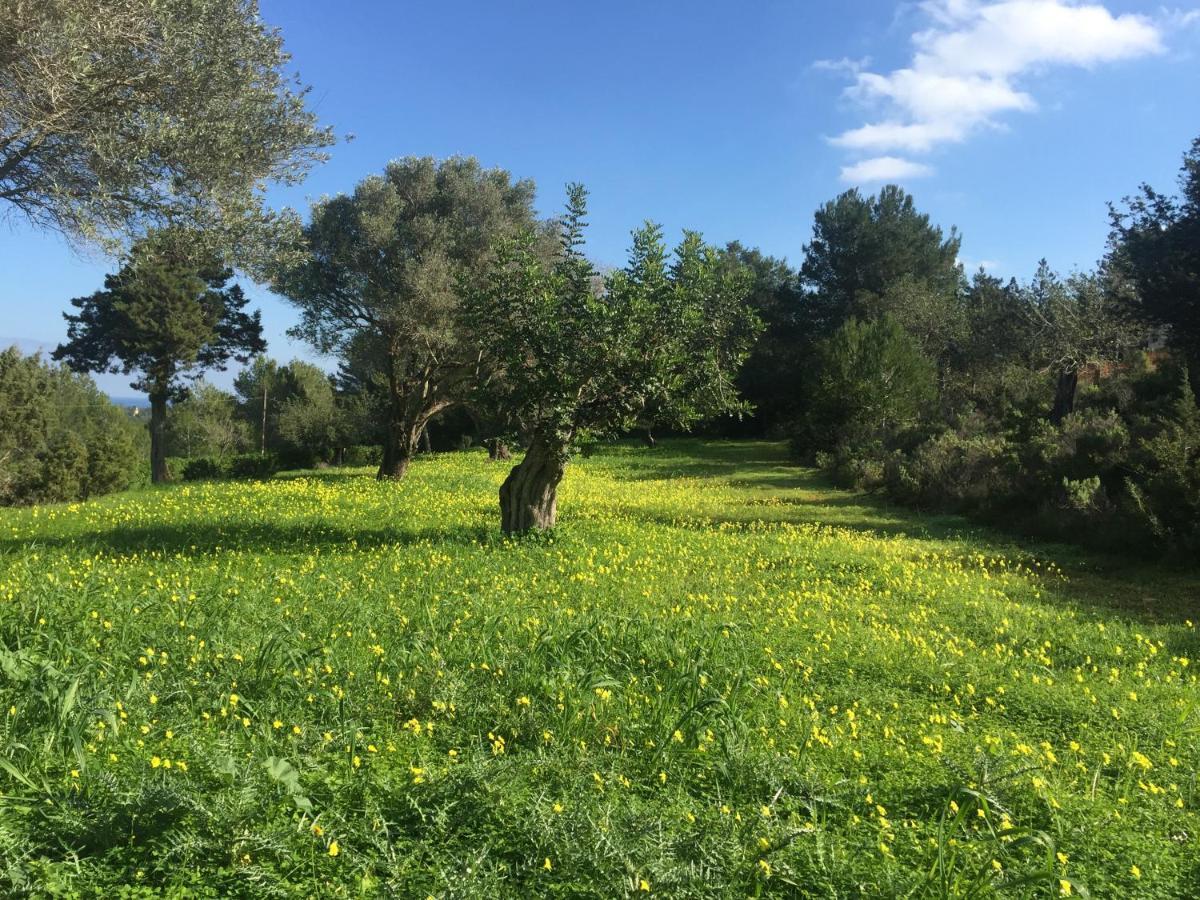 Holiday home Poeta Sant Carles de Peralta