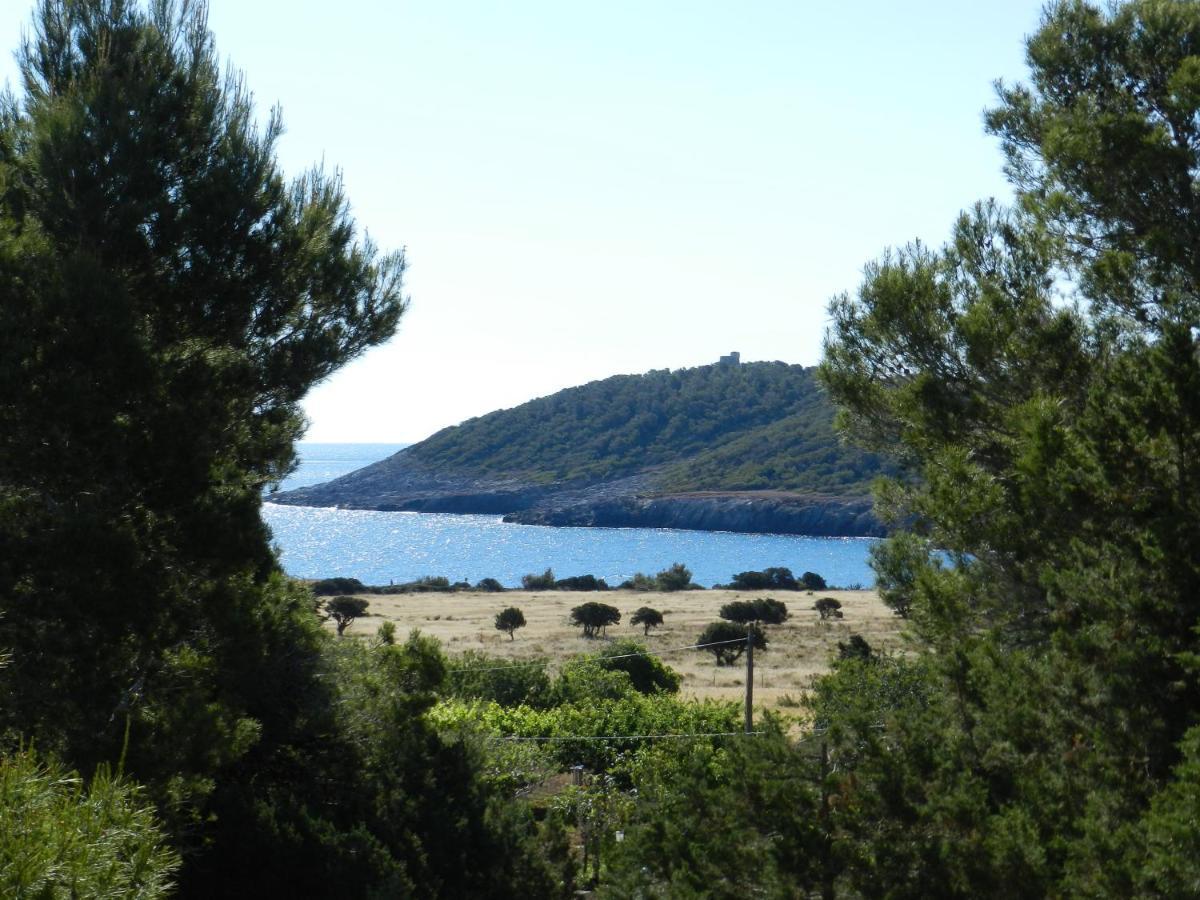 Villa Casa Catalina Pou Des Lleo Cala Boix