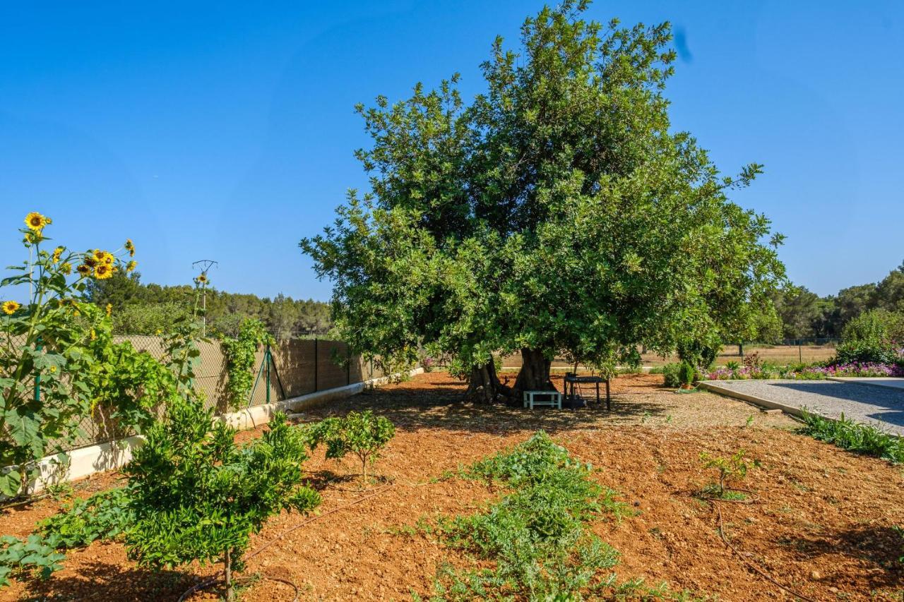 Holiday home Casa Cristina Ibiza Sant Carles de Peralta