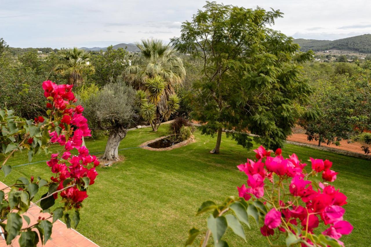 Villa The White Lotus Ibiza *