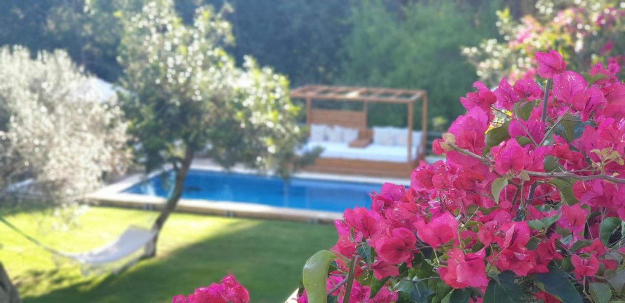 Villa The White Lotus Ibiza
